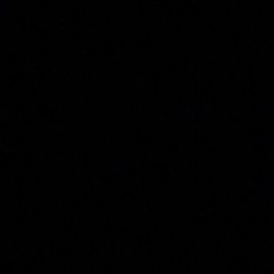 Meet your Posher, Ralphie